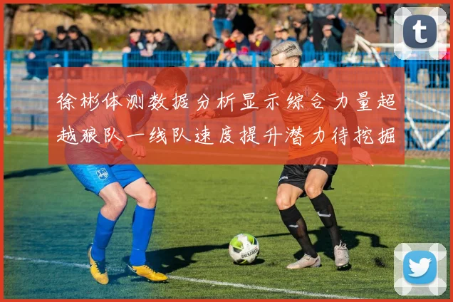 徐彬体测数据分析显示综合力量超越狼队一线队速度提升潜力待挖掘