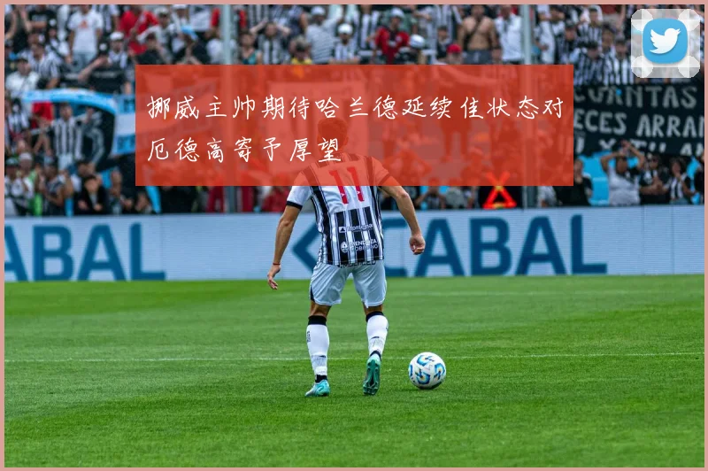 挪威主帅期待哈兰德延续佳状态对厄德高寄予厚望